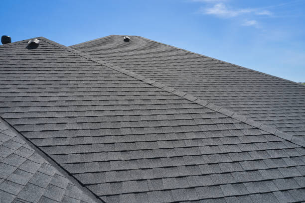 Best Chimney Flashing Repair  in Colon, MI